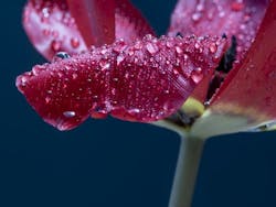 65e735001f04ab001e1d98fb Waterindustry 1 65e735001f04ab001e1d98fb Waterindustry 1