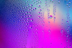 65e73522a9f492001e1bf403 Cleanwater 65e73522a9f492001e1bf403 Cleanwater