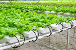 65e73b31a9f492001e1bf87c Grow Tables Copy 65e73b31a9f492001e1bf87c Grow Tables Copy