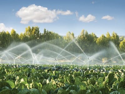 65e73c27a9f492001e1bf9f1 Irrigation2