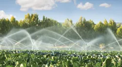 Irrigation2 3