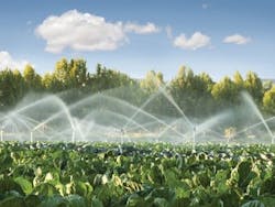 65e73c27a9f492001e1bf9f1 Irrigation2 65e73c27a9f492001e1bf9f1 Irrigation2