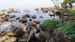 65e73c2fa9f492001e1bfa02 50905806 Ml 65e73c2fa9f492001e1bfa02 50905806 Ml