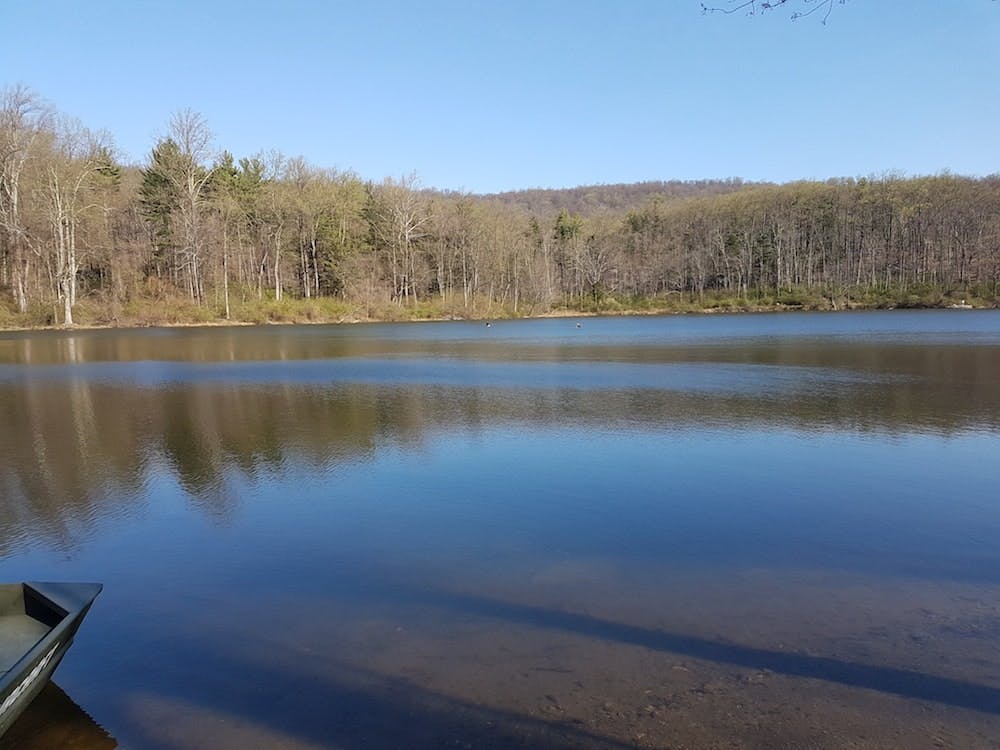 65e73d261f04ab001e1da062 20170411 092716