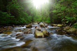 65e73ee31f04ab001e1da152 Adobestock 93903219 65e73ee31f04ab001e1da152 Adobestock 93903219