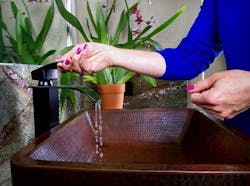 65e73ee8a9f492001e1bfcbc Avantipumps1101117 65e73ee8a9f492001e1bfcbc Avantipumps1101117