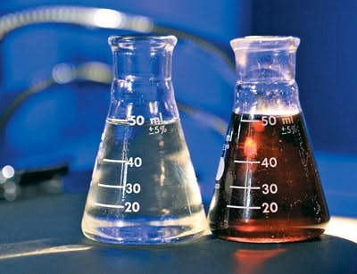 65e7411f1f04ab001e1da43a Wqp1