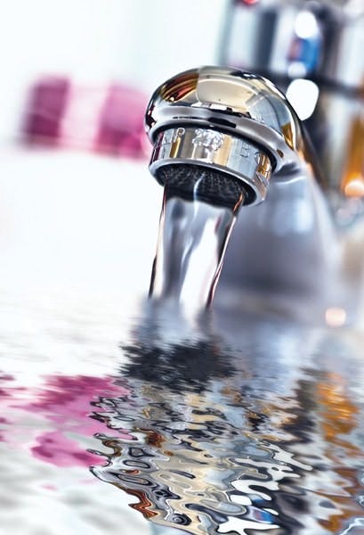 65e741eb1f04ab001e1da4fe Te Pmi