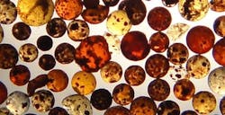 65e742181f04ab001e1da53b Tu 1 65e742181f04ab001e1da53b Tu 1