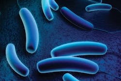 65e7429da9f492001e1c00bf Legionella Pneumophila 57173980 65e7429da9f492001e1c00bf Legionella Pneumophila 57173980