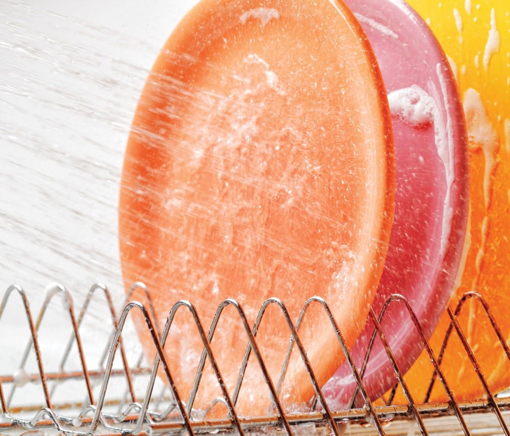 65e742c0a9f492001e1c00f2 Trends Pw Plates