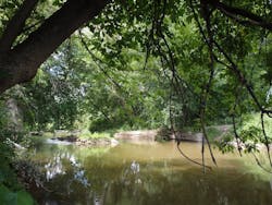 65e742c7a9f492001e1c00ff Spoelstra 1 65e742c7a9f492001e1c00ff Spoelstra 1