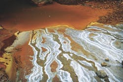 65e74333a9f492001e1c019b Arsenic 65e74333a9f492001e1c019b Arsenic
