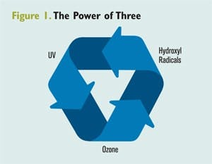 65e743451f04ab001e1da626 July Wqp Hayward1