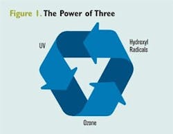 65e743451f04ab001e1da626 July Wqp Hayward1 65e743451f04ab001e1da626 July Wqp Hayward1