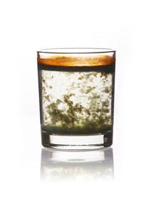 65e7436c1f04ab001e1da651 35512691 Xl