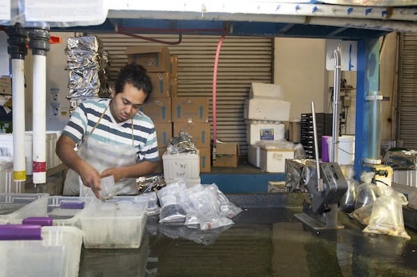 65e744b21f04ab001e1da7fb Nuwater July 1