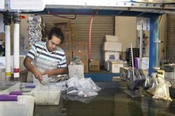 65e744b21f04ab001e1da7fb Nuwater July 1 65e744b21f04ab001e1da7fb Nuwater July 1