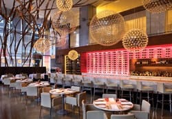 65e74502a9f492001e1c03ff Aria 16