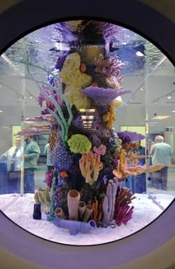 65e7454ca9f492001e1c0428 Dj5a3606107 65e7454ca9f492001e1c0428 Dj5a3606107