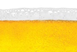 65e745d4a9f492001e1c04dc Beerfroth 65e745d4a9f492001e1c04dc Beerfroth