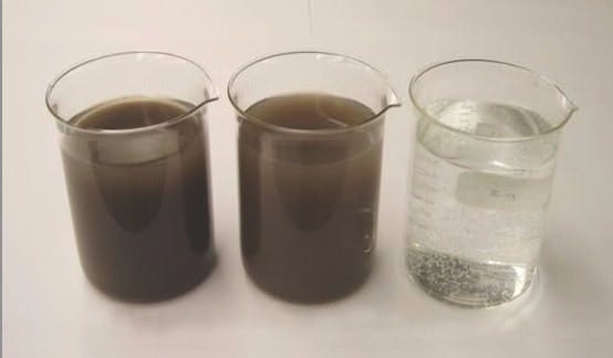 65e745fc1f04ab001e1da9af 9