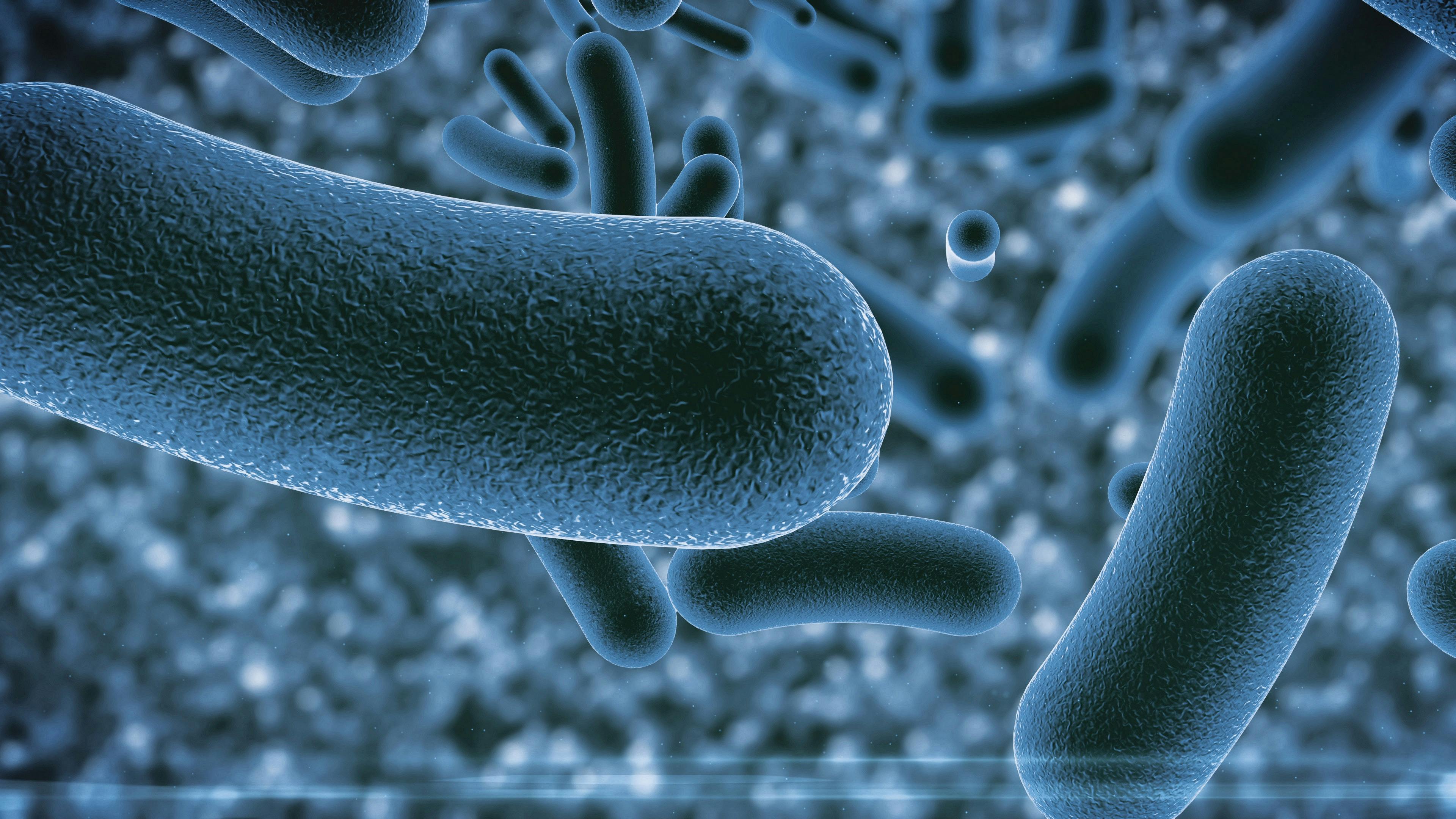 65e74689a9f492001e1c05cd Waterborne Pathogens