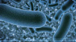 waterborne pathogens