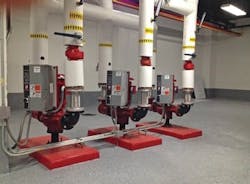 65e7473f1f04ab001e1dab5c Img 1054 65e7473f1f04ab001e1dab5c Img 1054