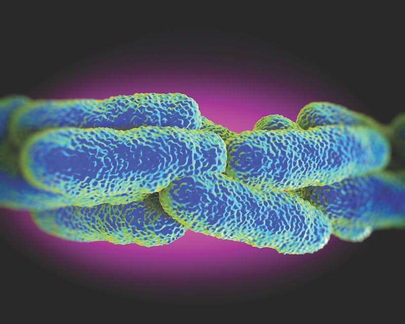 65e747d8a9f492001e1c07a2 Legionellacommercialwater