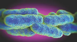 legionella-commercial-water