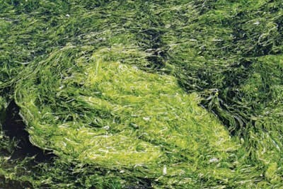 65e747f9a9f492001e1c07dd 20108023 L