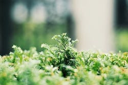 65e748d1a9f492001e1c08f2 10 65e748d1a9f492001e1c08f2 10