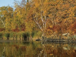 65e748fe1f04ab001e1dad55 Arcadis Sept17 1 65e748fe1f04ab001e1dad55 Arcadis Sept17 1