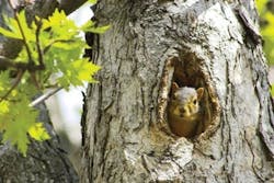 65e749171f04ab001e1dad73 4527488 L 65e749171f04ab001e1dad73 4527488 L