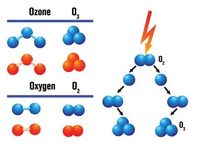 shutterstock_93032332_rvsd