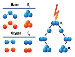 65e749191f04ab001e1dad7b Shutterstock 93032332 Rvsd 65e749191f04ab001e1dad7b Shutterstock 93032332 Rvsd