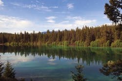 65e74995a9f492001e1c0a0c Ef Viqua 65e74995a9f492001e1c0a0c Ef Viqua