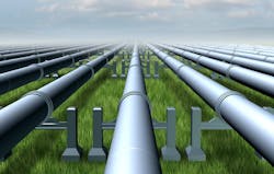 65e749d21f04ab001e1dae60 Adobestock 63542527 65e749d21f04ab001e1dae60 Adobestock 63542527