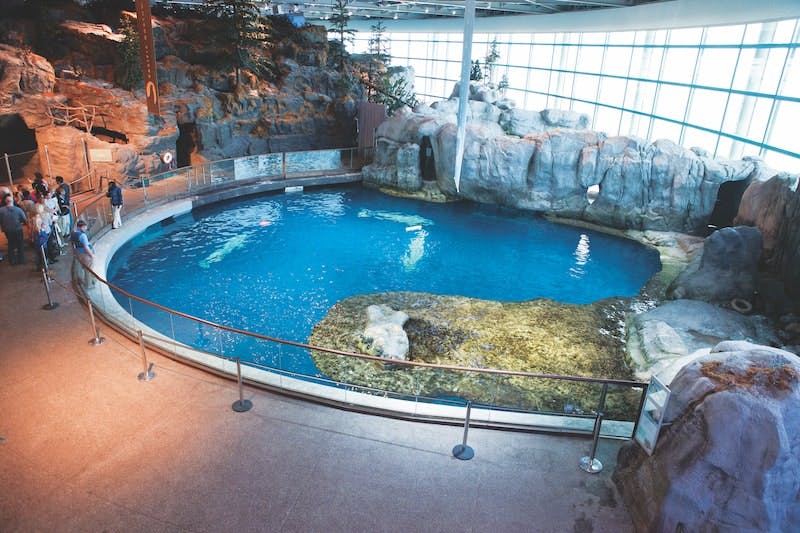 65e749f8a9f492001e1c0ac4 Secluded Bay In The Abbott Oceanarium