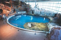 65e749f8a9f492001e1c0ac4 Secluded Bay In The Abbott Oceanarium 65e749f8a9f492001e1c0ac4 Secluded Bay In The Abbott Oceanarium