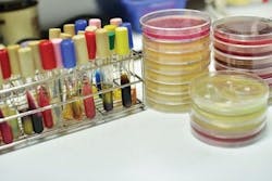 65e74b4fa9f492001e1c0cbb 49886313 Ml 65e74b4fa9f492001e1c0cbb 49886313 Ml