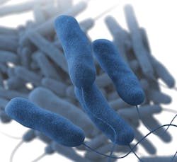 65e74b8f1f04ab001e1db110 Legionella 65e74b8f1f04ab001e1db110 Legionella