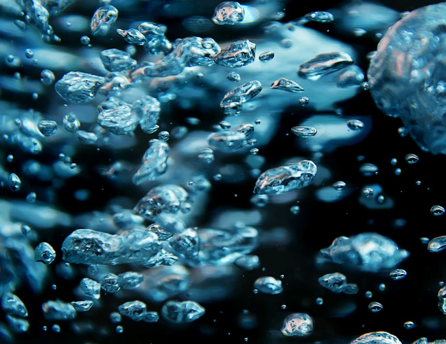 dreamstime_xxl_49109748