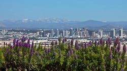 6619472b333841001e92ec48 Dreamstime Xxl 23971743 1 6619472b333841001e92ec48 Dreamstime Xxl 23971743 1