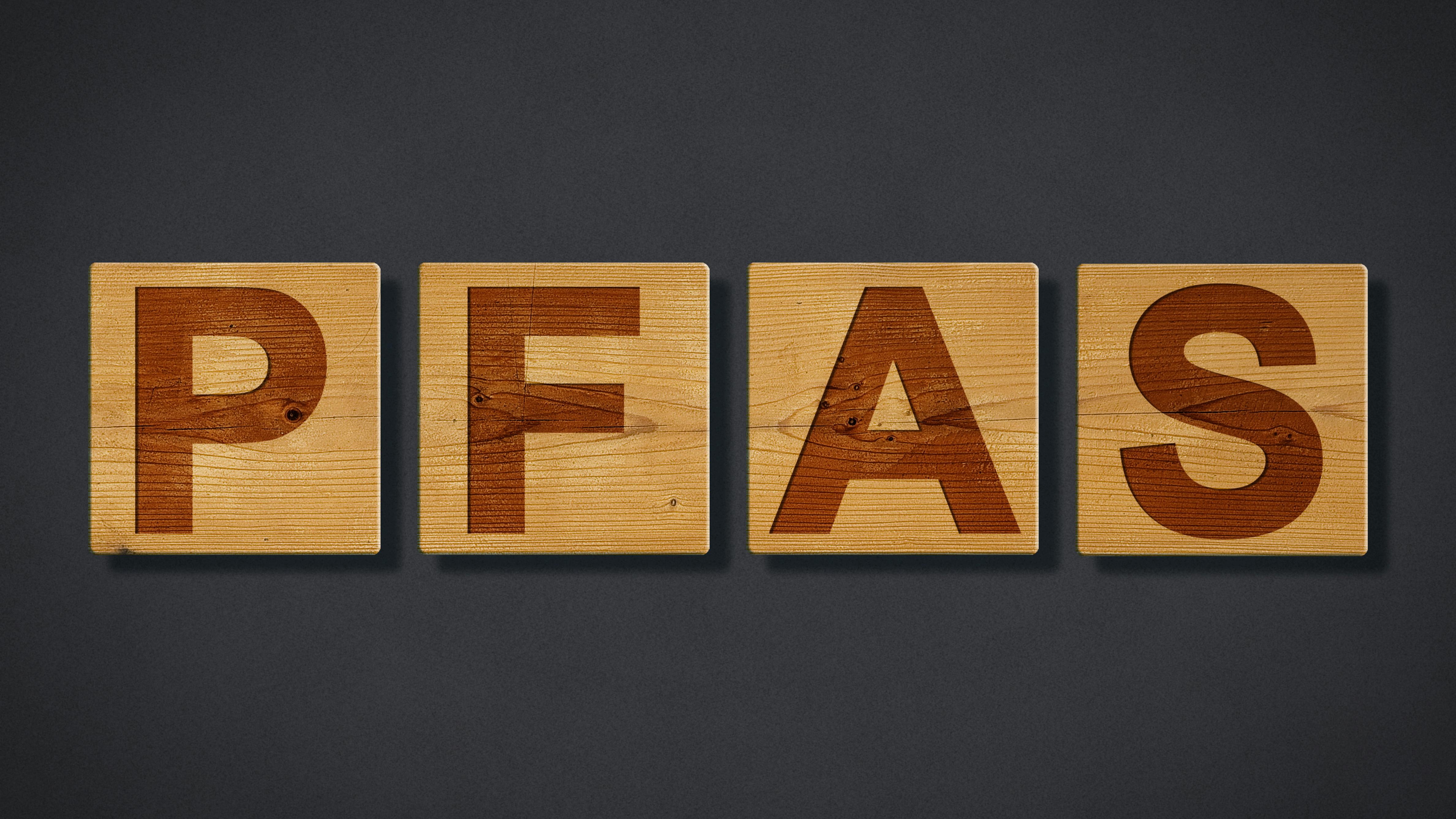 dreamstime_xxl_308214656