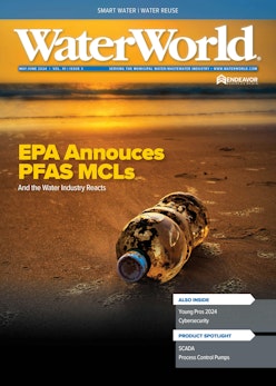 Volume 40, Issue 3, May/June 2024 cover image