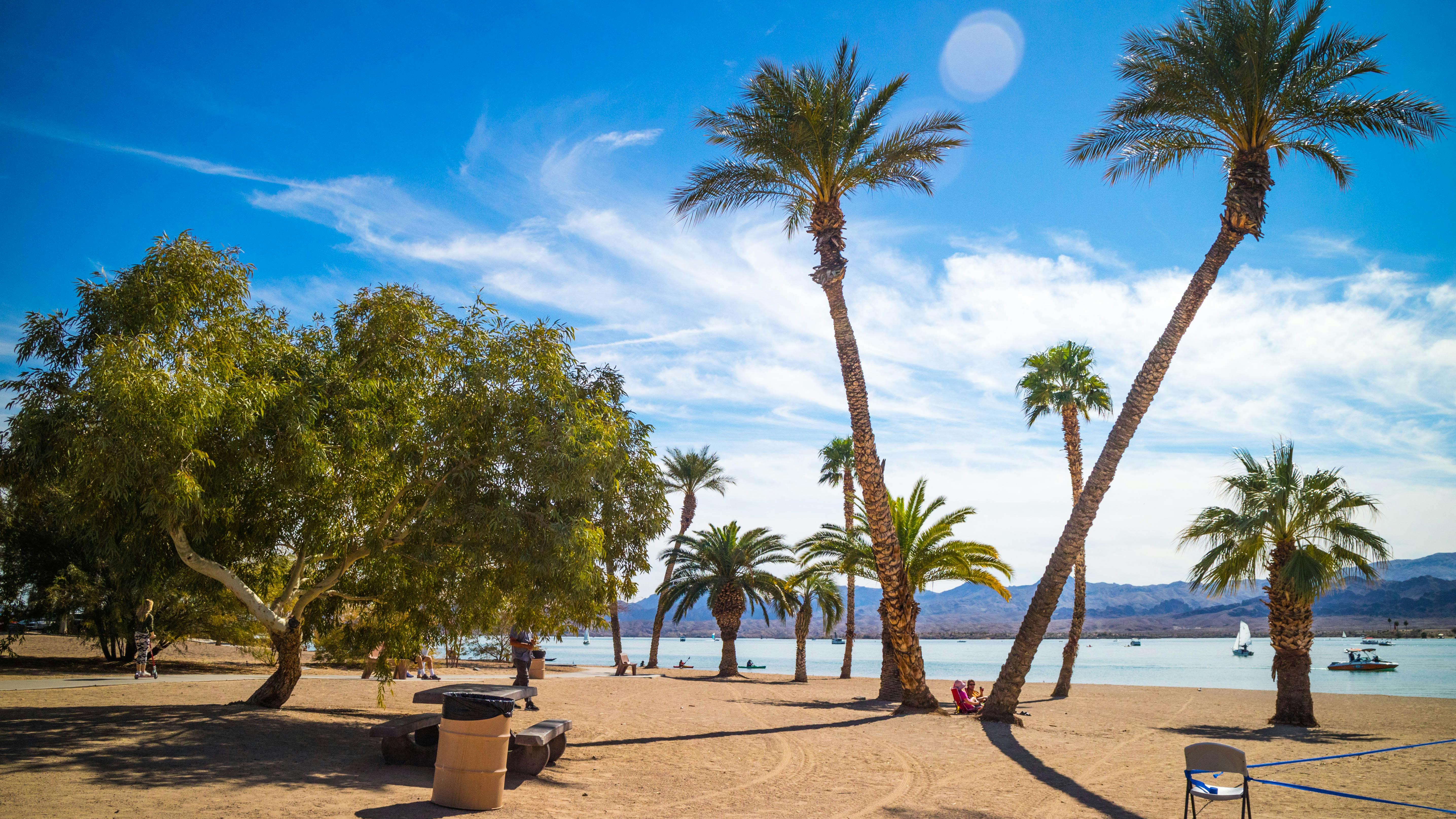 6658f15316e0f631e10b5f23 Dreamstime Xxl 118963798