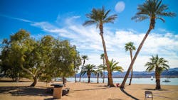 6658f15316e0f631e10b5f23 Dreamstime Xxl 118963798 6658f15316e0f631e10b5f23 Dreamstime Xxl 118963798