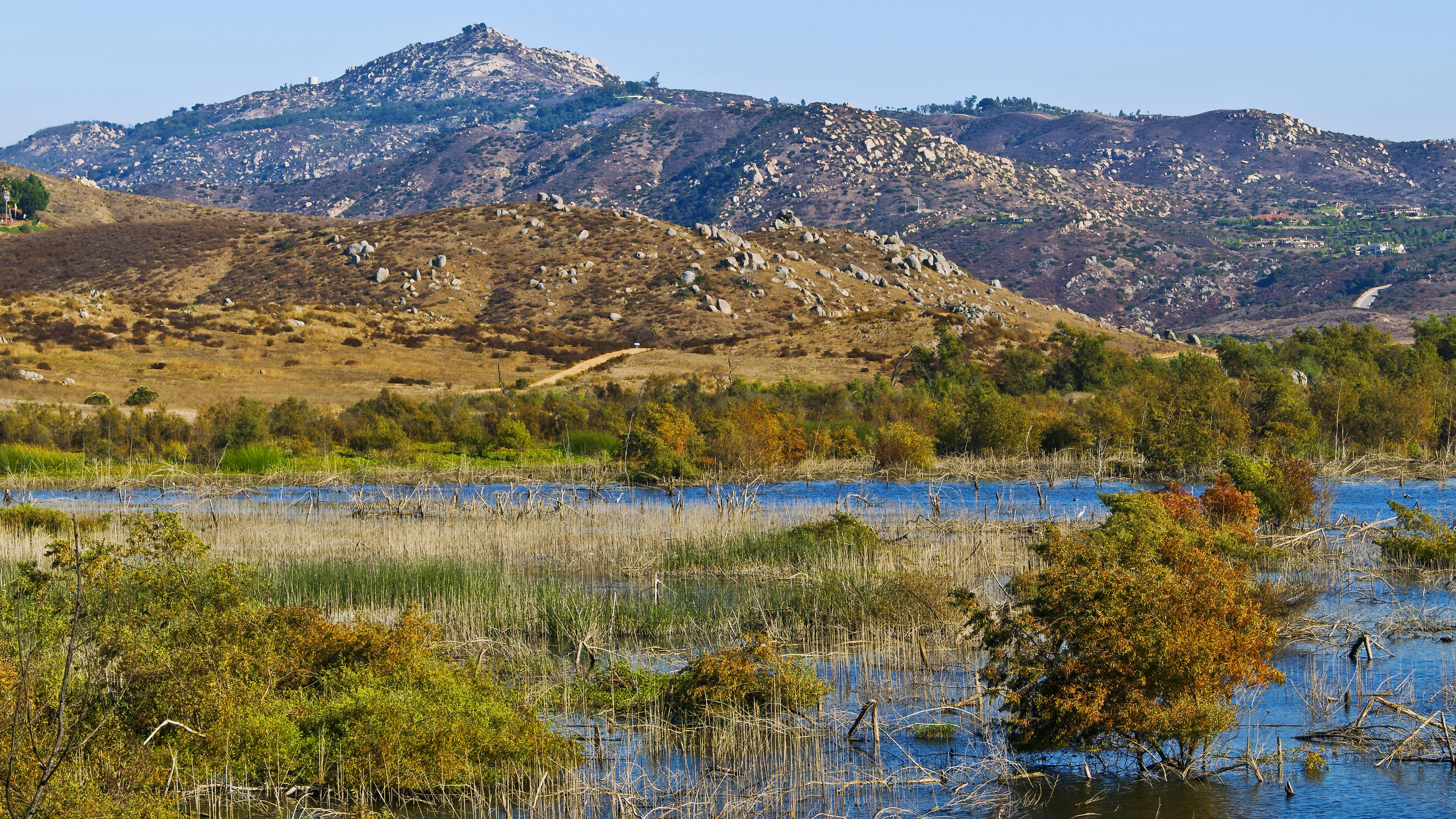 667c40febad3e3af0ddc43a5 Dreamstime Xxl 21845559